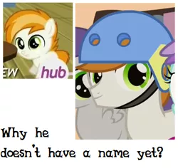 Size: 345x326 | Tagged: 5-year-old, background pony, derpibooru import, naming, safe, solo, text, younger