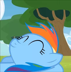 Size: 1062x1080 | Tagged: safe, derpibooru import, screencap, rainbow dash, rainbow falls, season 4, solo