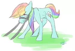 Size: 1240x849 | Tagged: artist:silversprinkles, bridle, derpibooru import, rainbow dash, reins, safe, solo, wingless