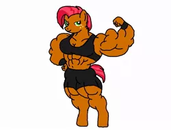 Size: 960x731 | Tagged: abs seed, anthro, artist:knox2008, babs seed, derpibooru import, flexing, midriff, muscles, my muscle pony, safe, solo, workout outfit