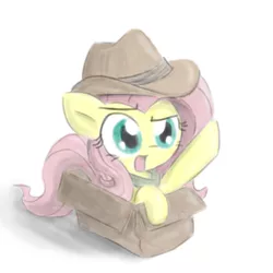 Size: 700x700 | Tagged: safe, artist:deadlycomics, derpibooru import, fluttershy, pegasus, pony, box, cardboard box, clothes, cute, explorer outfit, fedora, hat, open mouth, pointing, pony in a box, raised eyebrow, raised hoof, shirt, shyabetes, simple background, solo, white background