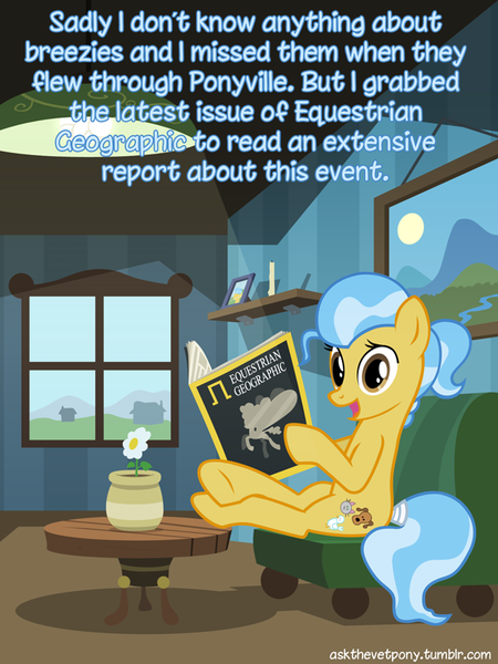 Size: 600x800 | Tagged: ask the vet pony, breezie, derpibooru import, doctor fauna, magazine, reading, safe