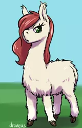 Size: 600x936 | Tagged: artist:draneas, derpibooru import, llama, non-pony oc, oc, oc:lana, safe, solo, unofficial characters only