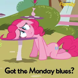 Size: 550x550 | Tagged: blue, cropped, derpibooru import, discovery family, discovery family logo, edit, edited screencap, frown, incorrect leg anatomy, looking at you, monday, official, outdoors, pinkie pie, sad, safe, screencap, solo, table, text, too many pinkie pies