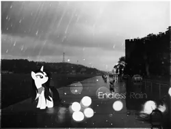 Size: 1200x900 | Tagged: safe, artist:metalliclenneth, derpibooru import, rarity, pony, unicorn, black and white, car, grayscale, irl, monochrome, photo, ponies in real life, rain, solo, wallpaper, water, wet, wet mane, wet mane rarity