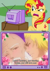 Size: 564x800 | Tagged: safe, derpibooru import, sunset shimmer, pony, unicorn, dd hokuto no ken, exploitable meme, hokuto no ken, meme, obligatory pony, raoh, ryuken, tv meme, wat, why