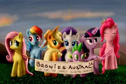 Size: 1024x683 | Tagged: safe, artist:everypone, derpibooru import, applejack, fluttershy, pinkie pie, rainbow dash, rarity, twilight sparkle, twilight sparkle (alicorn), alicorn, pony, australia, bau, bronies australia, crown, female, flying, mane six, mare, plot, we couldn't fit it all in