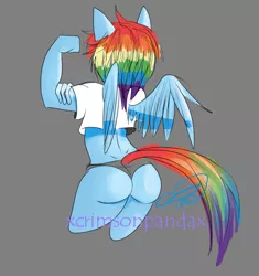 Size: 1201x1280 | Tagged: anthro, artist:xcrimsonpandax, ass, clothes, derpibooru import, flexing, midriff, panties, rainbow dash, rear view, simple background, suggestive, the ass was fat, underwear, wedgie