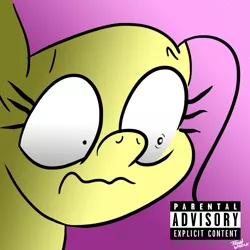 Size: 1000x1000 | Tagged: safe, artist:train wreck, derpibooru import, fluttershy, album, album cover, parental advisory, solo, waifu