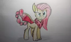 Size: 1160x696 | Tagged: artist:iheartmlp237, colored pencil drawing, derpibooru import, female, hybrid, interspecies offspring, manticore, mantipony, oc, oc:cora, offspring, parent:fluttershy, parent:manticore, parents:mantishy, safe, scorpion tail, solo, stinger, things breeding that should not breed, traditional art, unofficial characters only