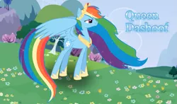 Size: 1075x634 | Tagged: safe, derpibooru import, oc, oc:queen dashoof, unofficial characters only, pegasus, pony, dashoof, not rainbow dash, queen