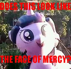 Size: 1032x998 | Tagged: safe, derpibooru import, twilight sparkle, twilight sparkle (alicorn), alicorn, pony, chile, face of mercy, female, image macro, irl, mare, meme, parade, parade balloon, photo