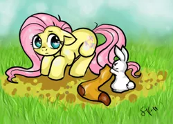 Size: 507x364 | Tagged: angel bunny, artist:veritasket, clothes, derpibooru import, fluttershy, safe, socks