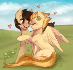 Size: 1255x1200 | Tagged: safe, artist:rainbowsprinklesart, artist:spittfireart, derpibooru import, spitfire, oc, oc:chocolate chips, earth pony, pegasus, pony, blushing, canon x oc, cloud, clover, cute, eyes closed, female, firechips, four leaf clover, heart, hug, male, mare, shipping, stallion, straight