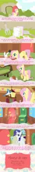 Size: 621x3048 | Tagged: artist:zoo977, comic, derpibooru import, fluttershy, rarity, safe