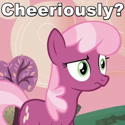 Size: 480x480 | Tagged: safe, derpibooru import, edit, edited screencap, screencap, cheerilee, earth pony, pony, hearts and hooves day (episode), caption, cheerilee is unamused, cheerious, doubt, female, frown, hearts and hooves day, image macro, mare, pun, raised eyebrow, reaction image, seriously, skeptical, solo, text, unamused