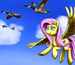 Size: 2200x1900 | Tagged: safe, artist:benjik, derpibooru import, fluttershy, bird, canada goose, goose, pegasus, pony, animal, female, flock, flying, mare, sky