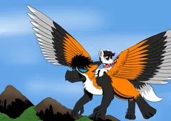Size: 3306x2338 | Tagged: safe, artist:darkhestur, derpibooru import, oc, oc:adam, oc:kayla, unofficial characters only, earth pony, gryphon, pony, flying