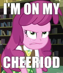 Size: 599x694 | Tagged: safe, derpibooru import, screencap, cheerilee, equestria girls, angry, caption, cheerilee is unamused, frown, glare, image macro, lip bite, meme, menstruation, pun, solo