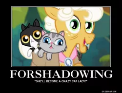 Size: 750x574 | Tagged: applesauce, cat, demotivational poster, derpibooru import, foreshadowing, image macro, meme, quote, safe, screencap, solo, suited for success, text
