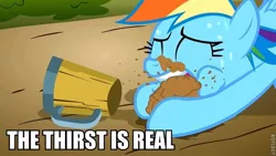 Size: 640x360 | Tagged: cider, dashaholic, derpibooru import, rainbow dash, safe, the thirst is real