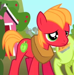 Size: 500x510 | Tagged: safe, derpibooru import, screencap, big macintosh, granny smith, earth pony, pony, the cutie mark chronicles, colt, cropped, cute, macabetes, male, stallion, young, younger