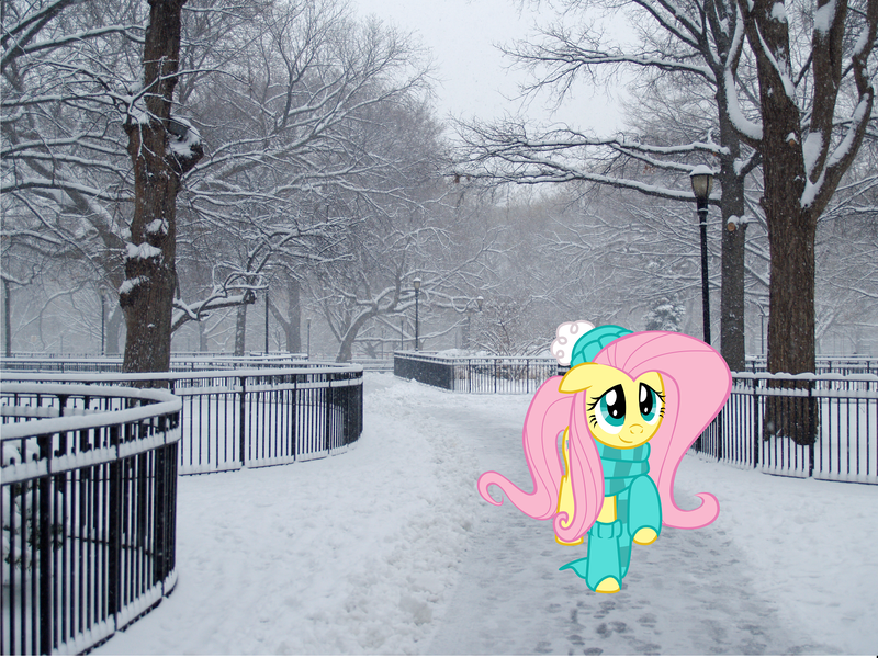 Size: 1632x1224 | Tagged: artist:mick-o-maikeru, artist:mrdoctorderpy, clothes, derpibooru import, fluttershy, irl, park, photo, ponies in real life, safe, scarf, snow, snowfall, solo