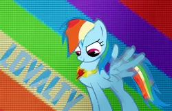 Size: 1224x791 | Tagged: safe, artist:mcdashin, derpibooru import, rainbow dash, pegasus, pony, element of loyalty, female, mare, retro, vector, wallpaper