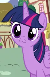 Size: 427x654 | Tagged: safe, derpibooru import, edit, edited screencap, screencap, twilight sparkle, twilight sparkle (alicorn), alicorn, pony, pinkie pride, :3, catface, cute, female, mare, solo, twiabetes, twilight cat