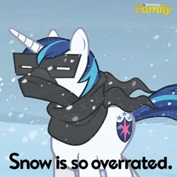 Size: 550x550 | Tagged: derpibooru import, discovery family, discovery family logo, official, safe, shining armor, text, truth