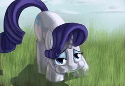 Size: 2704x1869 | Tagged: safe, artist:jayzonsketch, derpibooru import, rarity, pony, unicorn, grass, grazing, herbivore, horses doing horse things, looking at you, solo