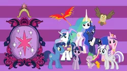 Size: 1920x1080 | Tagged: artist:neodarkwing, big crown thingy, derpibooru import, element of magic, family, night light, owlowiscious, peewee, philomena, princess cadance, princess celestia, princess luna, safe, shining armor, spike, twilight sparkle, twilight velvet