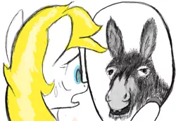 Size: 453x314 | Tagged: animal, artist:woox, bust, derpibooru import, donkey, fear, flockmod, irl, mirror, oc, oc:aryanne, photo, portrait, racism, reaction image, safe, shocked, sweat, unofficial characters only, xenophobia