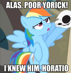 Size: 541x550 | Tagged: safe, derpibooru import, edit, edited screencap, screencap, rainbow dash, pegasus, pony, alas poor yorick, caption, female, hamlet, image macro, mare, meme, shakespeare, skull, solo