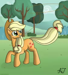 Size: 2712x3000 | Tagged: safe, artist:artyjoyful, derpibooru import, applejack, lasso, solo