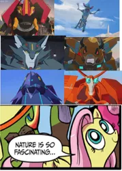 Size: 1128x1574 | Tagged: bisk, derpibooru import, exploitable meme, filch, fluttershy, hammerstrike, meme, nature is so fascinating, obligatory pony, ped, safe, steeljaw, terrashock, transformers, transformers robots in disguise (2015)