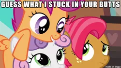 Size: 500x281 | Tagged: suggestive, derpibooru import, edit, edited screencap, screencap, babs seed, scootaloo, sweetie belle, earth pony, pegasus, pony, unicorn, caption, female, filly, image macro, implied anal insertion, implied foalcon, implied insertion, meme