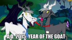 Size: 960x540 | Tagged: 2015, chinese new year, derpibooru import, edit, edited screencap, goat, image macro, meme, putting your hoof down, safe, screencap, year of the goat