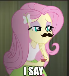 Size: 550x600 | Tagged: safe, derpibooru import, edit, screencap, fluttershy, equestria girls, rainbow rocks, i say, image macro, meme, monocle, moustache, smiling, text, wine, wine glass