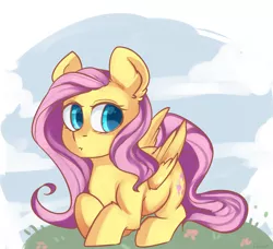 Size: 4075x3721 | Tagged: safe, artist:joo13, derpibooru import, fluttershy, prone, solo