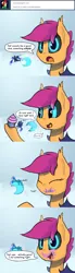 Size: 1280x4665 | Tagged: safe, artist:darkflame75, derpibooru import, princess luna, scootaloo, bat pony, pony, bat ponified, comic, cupcake, race swap, scootabat, student of the night, tumblr