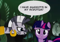 Size: 1000x698 | Tagged: derpibooru import, everfree forest, i have maggots in my scrotum, musical, suggestive, the book of mormon, twilight sparkle, zebra, zecora