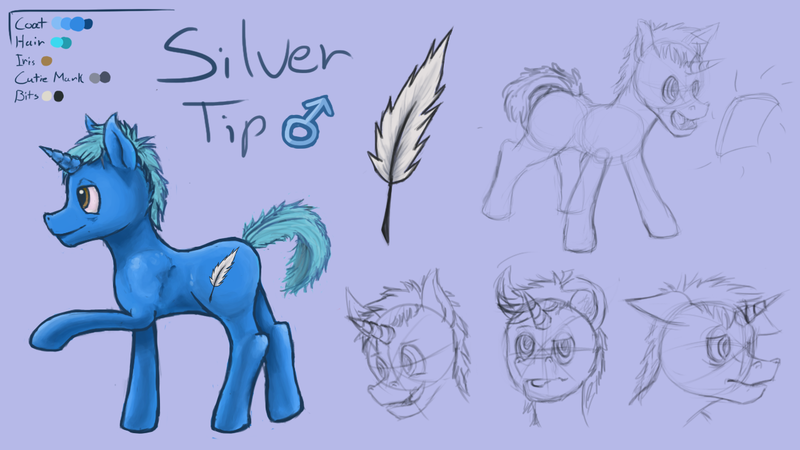 Size: 1280x720 | Tagged: safe, artist:silver-tip, derpibooru import, oc, oc:silver tip, unofficial characters only, pony, unicorn, 2014, colored, cutie mark, feather, male, portrait, quill, reference sheet, side view, sketch, solo