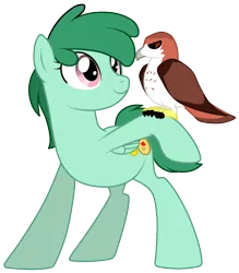 Size: 748x855 | Tagged: dead source, safe, artist:cloud-shaper, derpibooru import, oc, oc:melody star, unofficial characters only, hawk, pegasus, pony, falconry, parent:oc:north star, parent:oc:wineberry, parents:winestar, pet, pet oc, winestar