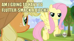 Size: 1280x720 | Tagged: all new, applejack, derpibooru import, edit, edited screencap, flutterbitch, fluttershy, image macro, keep calm and flutter on, meme, safe, screencap, text, upset, vulgar