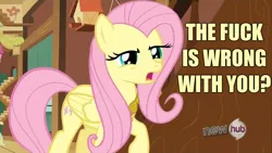 Size: 1280x720 | Tagged: all new, derpibooru import, edit, edited screencap, flutterbitch, fluttershy, image macro, keep calm and flutter on, meme, safe, screencap, text, vulgar