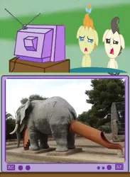 Size: 562x768 | Tagged: cake twins, derpibooru import, elephant, exploitable meme, funny, joke, meme, obligatory pony, pound cake, pumpkin cake, safe, slide, tv meme, unfortunate design, what has science done