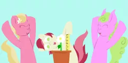 Size: 1500x735 | Tagged: safe, artist:crashbrowns, derpibooru import, daisy, flower wishes, lily, lily valley, roseluck, flower trio, measuring, ruler