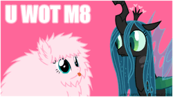 Size: 500x281 | Tagged: safe, artist:mixermike622, derpibooru import, edit, queen chrysalis, oc, oc:fluffle puff, changeling, changeling queen, pony, animated, cute, duo, duo female, female, fluffle shuffle, flufflebetes, pink background, simple background, text, tongue out, u wot m8
