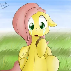 Size: 2000x2000 | Tagged: artist:ando, crying, cute, day, derpibooru import, fluttershy, grass, safe, solo